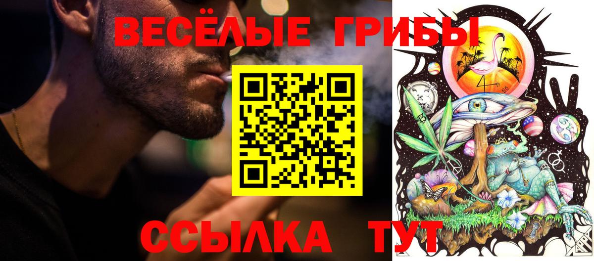 Фрязино  Галлюциногенные грибы Cubensis  Вход с VPN 