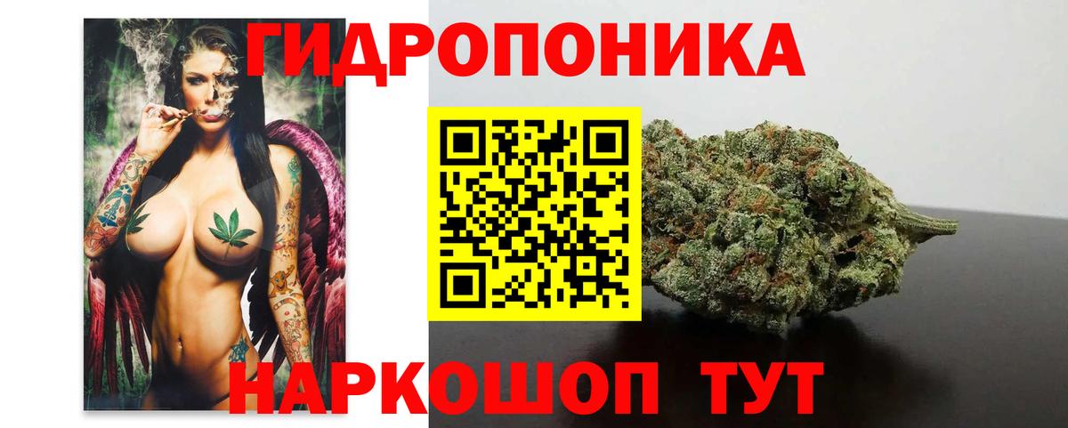 МАРИХУАНА OG Kush Фрязино